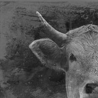 Portrait Cow