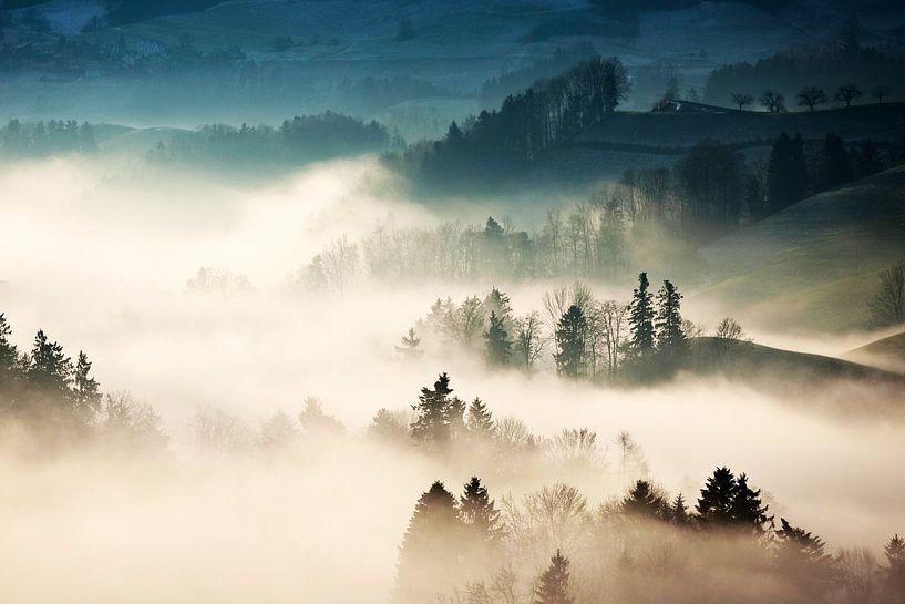 Dichter Nebel von Walljar