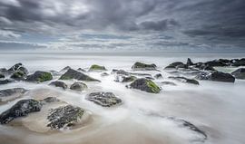 Mer du Nord Texel surf sur Martijn van Dellen