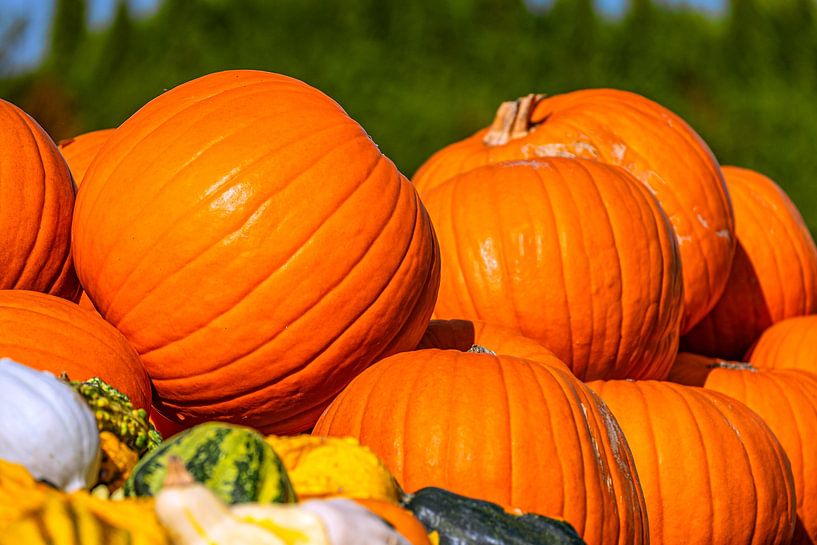 Pompoenmagie in de herfst van Photoart-Naegele