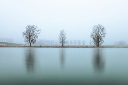 Symmetrische Reflectie Maas