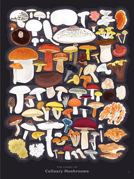 De kaart van culinaire champignons van Steven Kingsbury