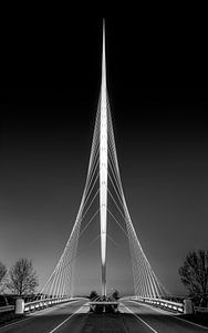 Harfenbrücke in Schwarz und Weiß, Niederlande