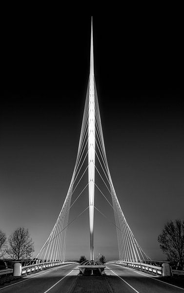Harp Bridge in Black and White, Netherlands by Adelheid Smitt