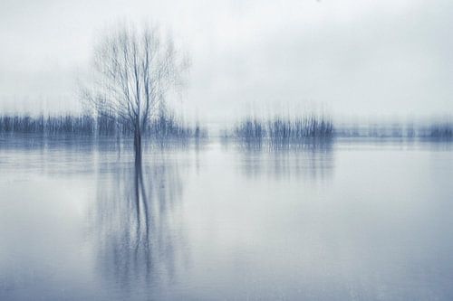 Le fleuve néerlandais en mouvement