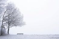 Icy view by Pamela Fritschij thumbnail