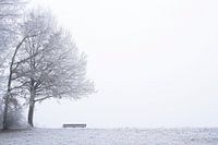 Icy view