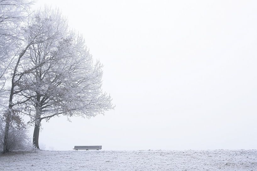 Icy view by Pamela Fritschij