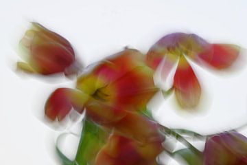 BLUMENTRÄUME 14 von Miroslav Ptacek