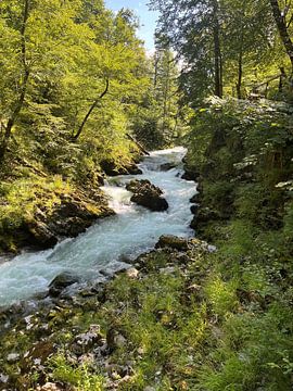 Gorges de l'Eau Sauvage sur Spiegeltje