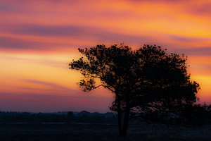 Landschaft_02