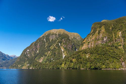Doubtful Sound in Nieuw Zeeland