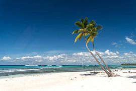 dream beach by Peter Schickert