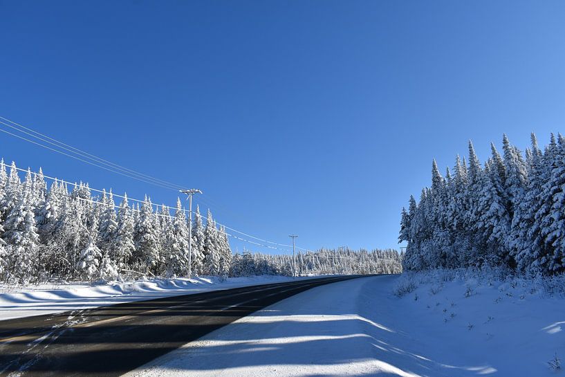 Eine Landstraße im Winter unter blauem Himmel von Claude Laprise
