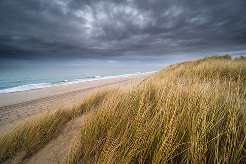 The dunes