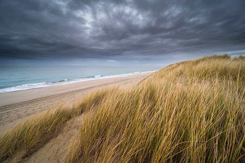 Die Dünen von Karin de Bruin