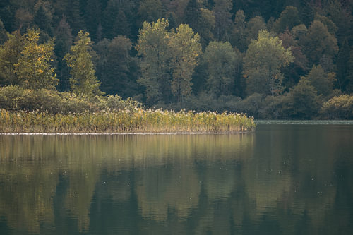 Lac de Bonlieu Tranquil Autumn