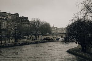 De Seine in Parijs. Levensader en toeristische attractie.