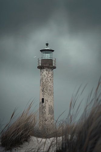 Lighthouse Stories - A Journey through the Enchanted Coastal Landscape