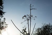 Beim Wandern in Oirschot mit dem Herbst