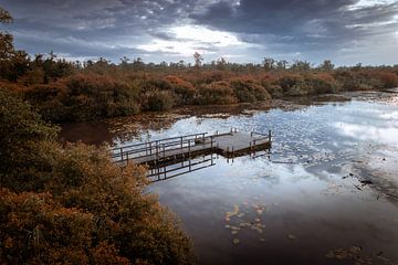 Swamps Scaffold Autumn by Zwoele Plaatjes