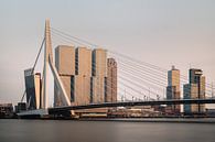 Erasmus Bridge, Rotterdam van Lorena Cirstea thumbnail