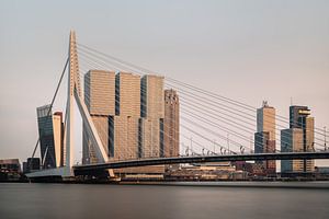 Erasmus Bridge, Rotterdam