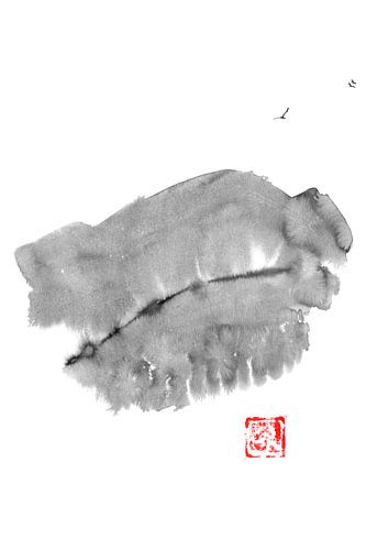 vogels boven de berg