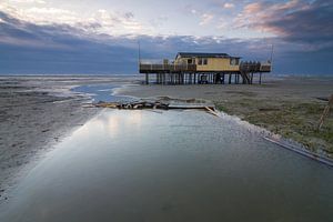 De strandtent 2 van robert wierenga