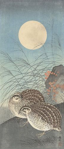 Zwei Wachteln bei Vollmond von Ohara Koson