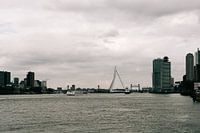 Sky Line ofRotterdam