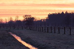 ruisseau dans un paysage hivernal sur Tania Perneel