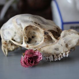Skull and rose by Ria De Jonge