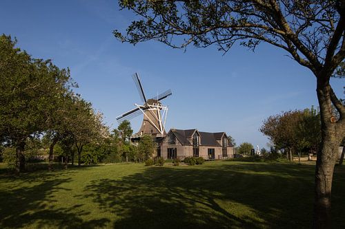 Sexbierum, Mühle de Korenaar