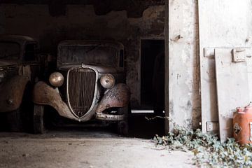 marten tracks sur maxxe