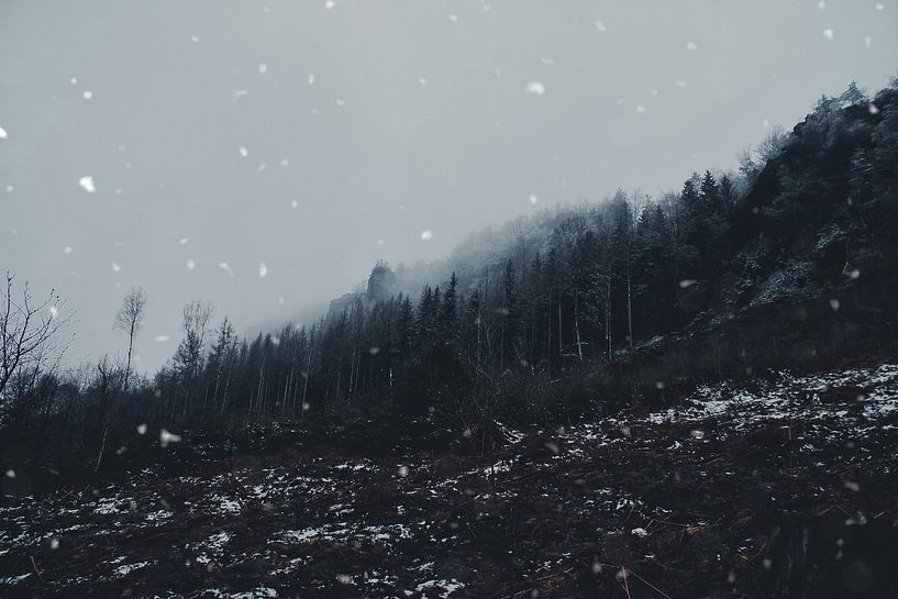Zschirnstein avec des arbres couverts de neige et du brouillard au sommet par Martin Köbsch