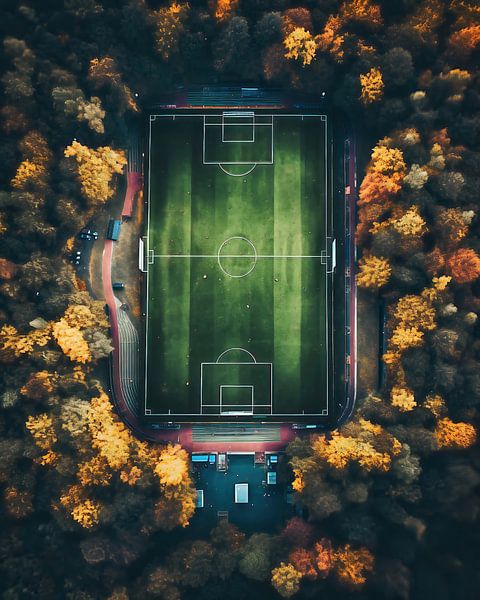 Sportveld vanuit de lucht van fernlichtsicht