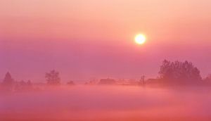 Rosafarbener Sonnenaufgang