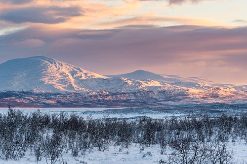 Sonnenaufgang in Schwedisch-Lappland