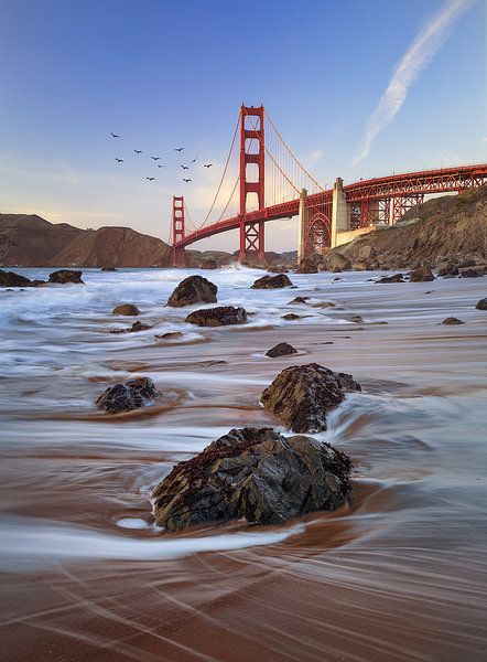 San Francisco by Hello Pompoyo