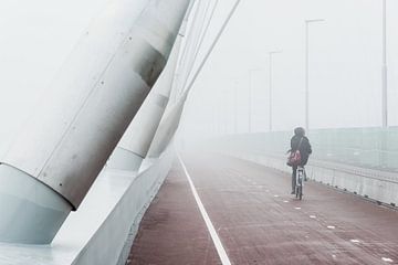 Cyclist on The Crossing in fog