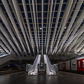 Rhythm of light and movement by Werner Lerooy