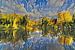 Peinture numérique forêt lac réflexion sur Photo Henk van Dijk