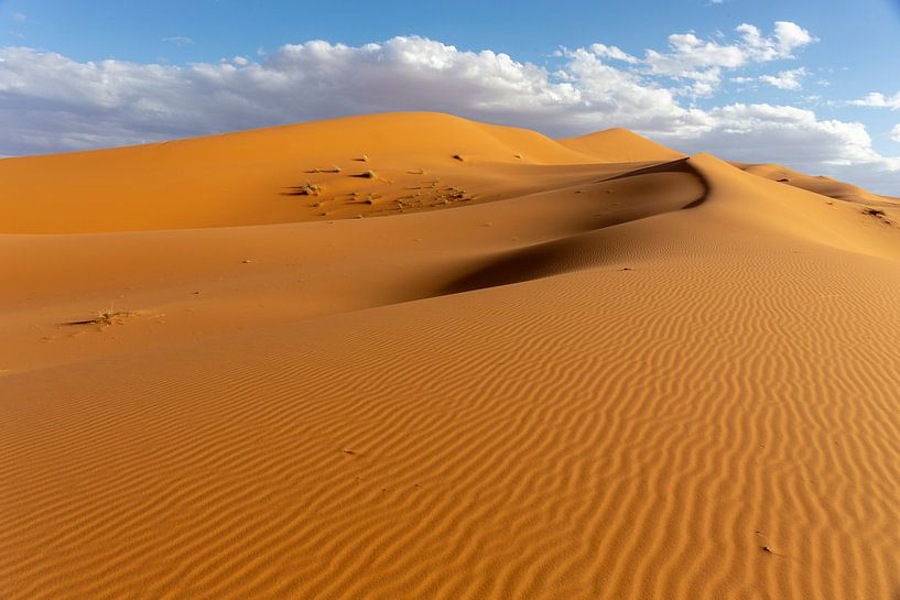 Un paysage de dunes de sable au lever du soleil, Afrique par Tjeerd Kruse