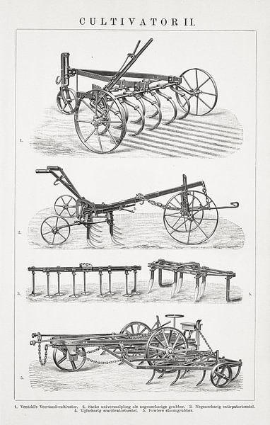 Alte Gravur Grubber II von Studio Wunderkammer