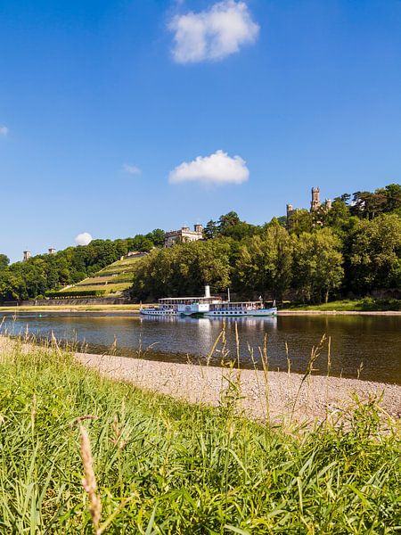 Paddle steamers and the Elbe castles in Dresden by Werner Dieterich