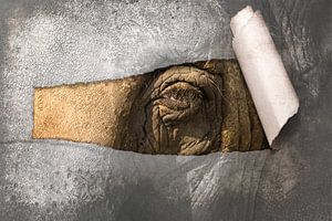 L'éléphant qui pleure