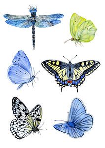 papillons botaniques sur Geertje Burgers