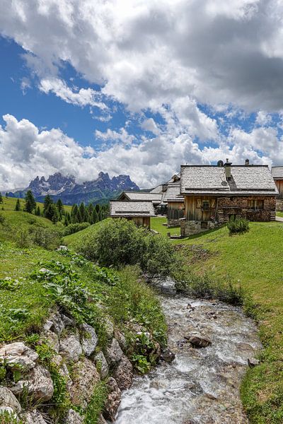 Alpenweide met uitzicht op de Pala groep van Thomas Prechtl
