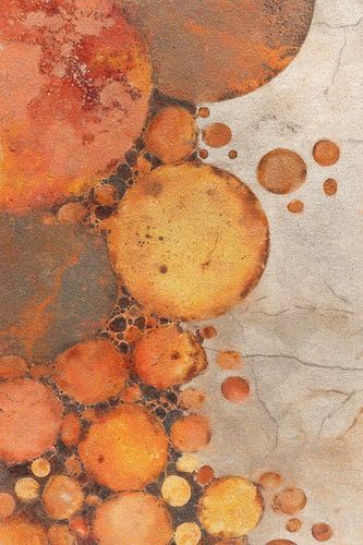 Golden circles in autumn light